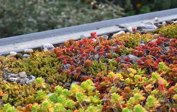 the cost of Ramsholt green roof installation