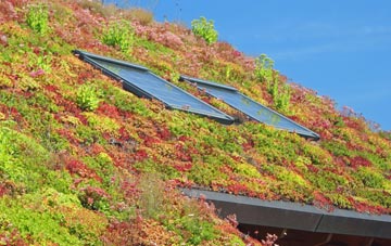 Ramsholt living roof systems