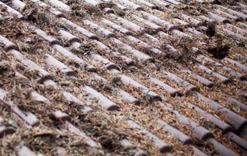 Ramsholt roof cleaning companies