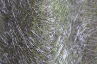 Ramsholt fibreglass roof work